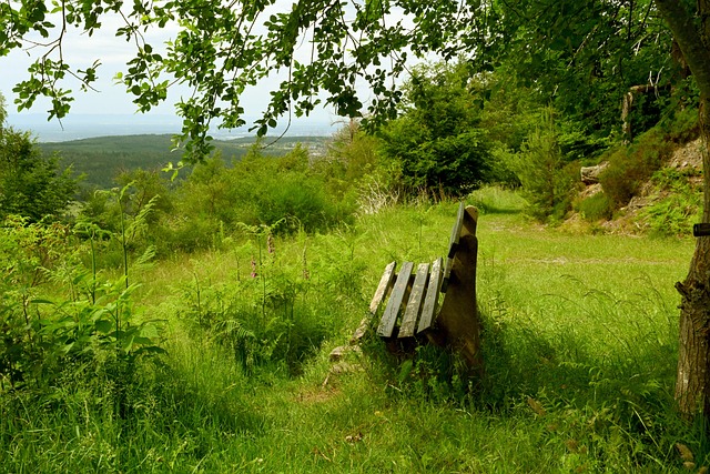 高球队的实 高球队的实